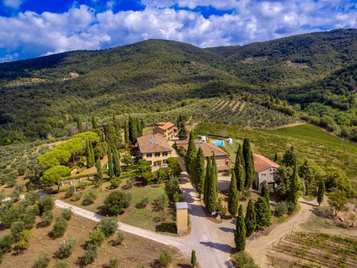 Fattoria Santo Stefano Greve in Chianti