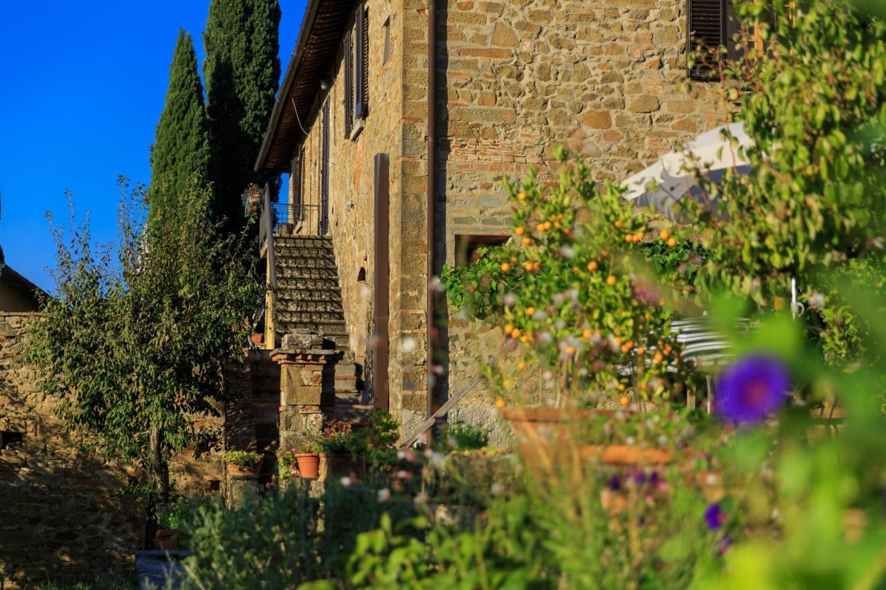 Fattoria Santo Stefano Bauernhof