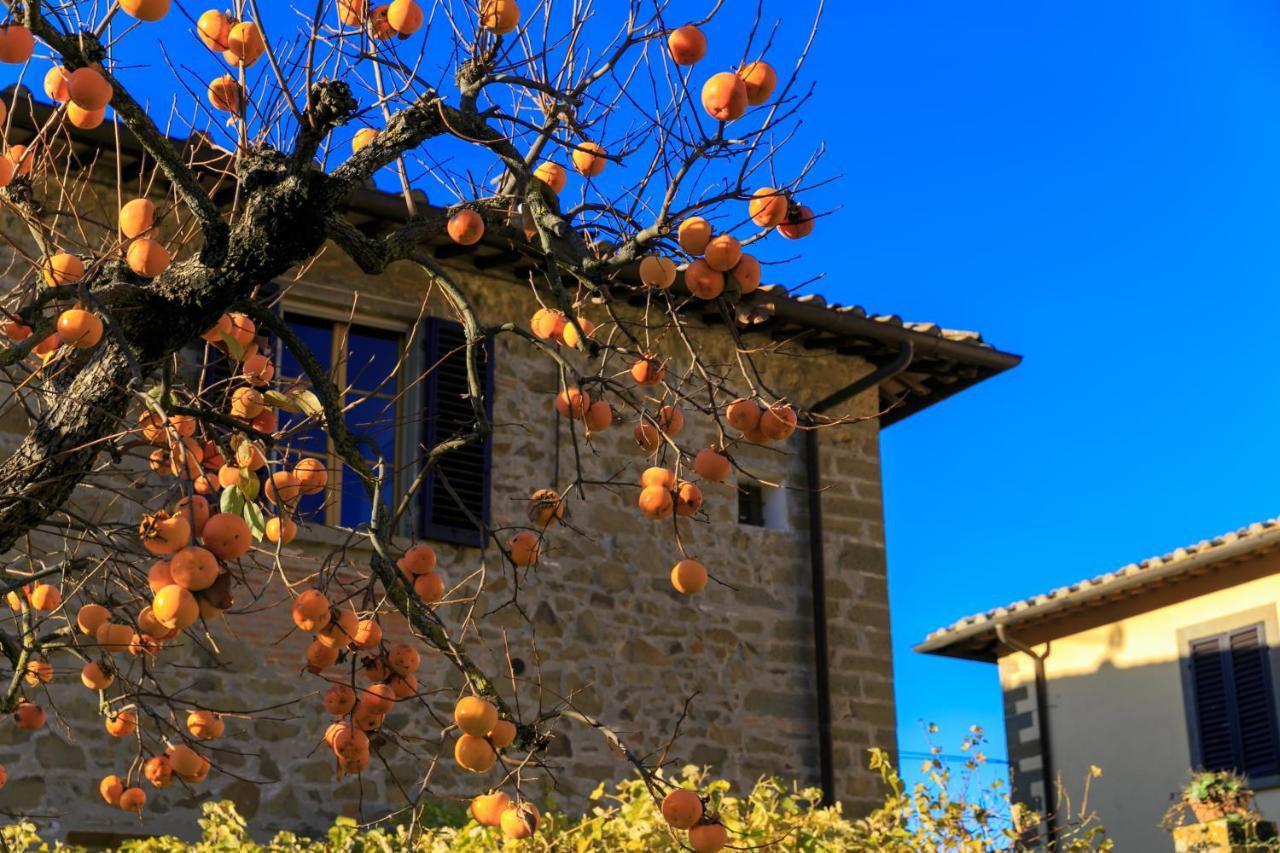 Fattoria Santo Stefano Vakantieboerderij *