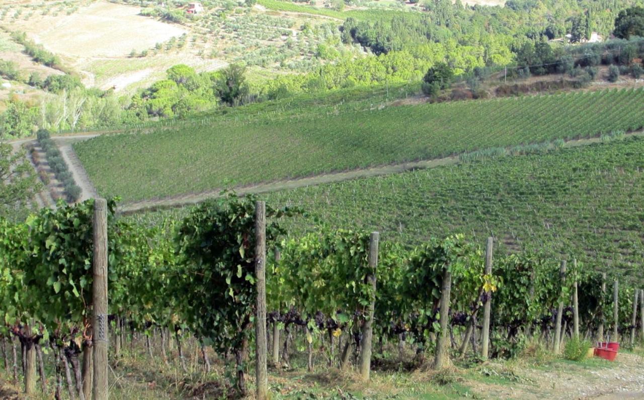 Fattoria Santo Stefano Bauernhof *